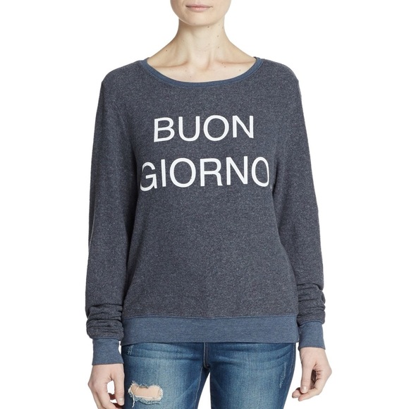 Wildfox Tops - WILDFOX | Grey Buon Giorno Pullover Sweater